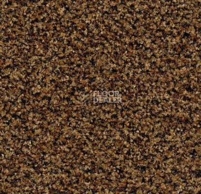 Грязезащитные покрытия Forbo Coral Brush 5716 Masala Brown фото 1 | FLOORDEALER